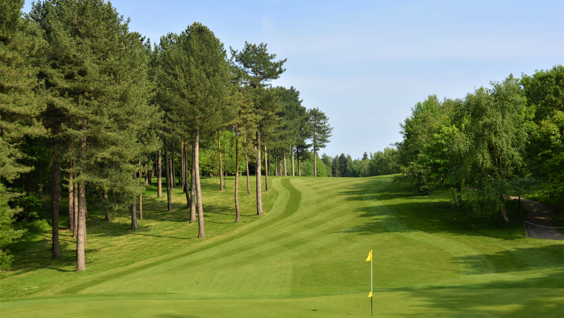 Homepage  15th green   pines